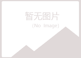 吴忠夏岚水泥有限公司